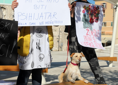 Molitelji i aktivisti dogurali do početka predsezone: Turisti dobili dodatni sadržaj