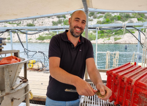 Fotografija 1 - Mile Ćoran, školjkar: 'Kad u nešto uložiš puno truda i ljubavi to će ti se višestruko isplatiti'