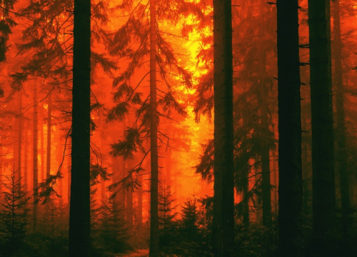 Fotografija 3 - Zahvaljujući projektu FIRESPILL, vatrogasci su spremni za novu sezonu uz suvremenu opremu!