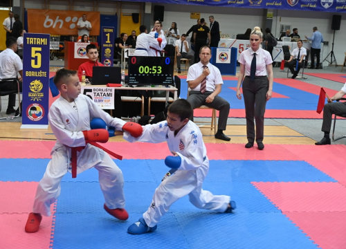 Fotografija 6 - Vodički karataši s natjecanja u Sarajevu vratili se s 11 medalja