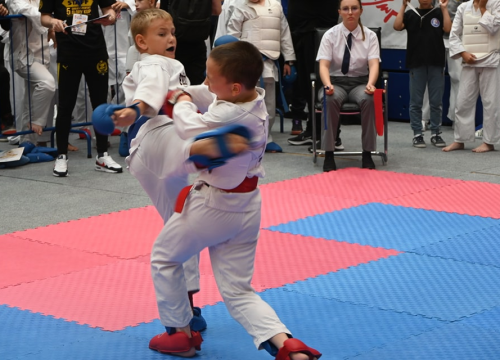 Fotografija 2 - Vodički karataši s natjecanja u Sarajevu vratili se s 11 medalja
