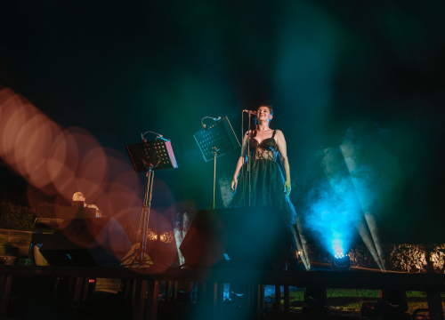 Fotografija 4 - Nera, Gordana i Đani ‘Čarobnim mjuziklom’ oduševili na Baroneu: Večeras glazbeni dokumentarac