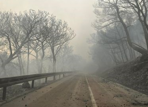 Fotografija 26 - Objekti nisu ugroženi, vatrogasci ostaju na terenu cijelu noć