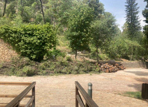 Fotografija 4 - Uznemireni čitatelji snimili posječena stabla na Krki, iz NP-a poručuju: 'Bila su u vrlo lošem stanju'