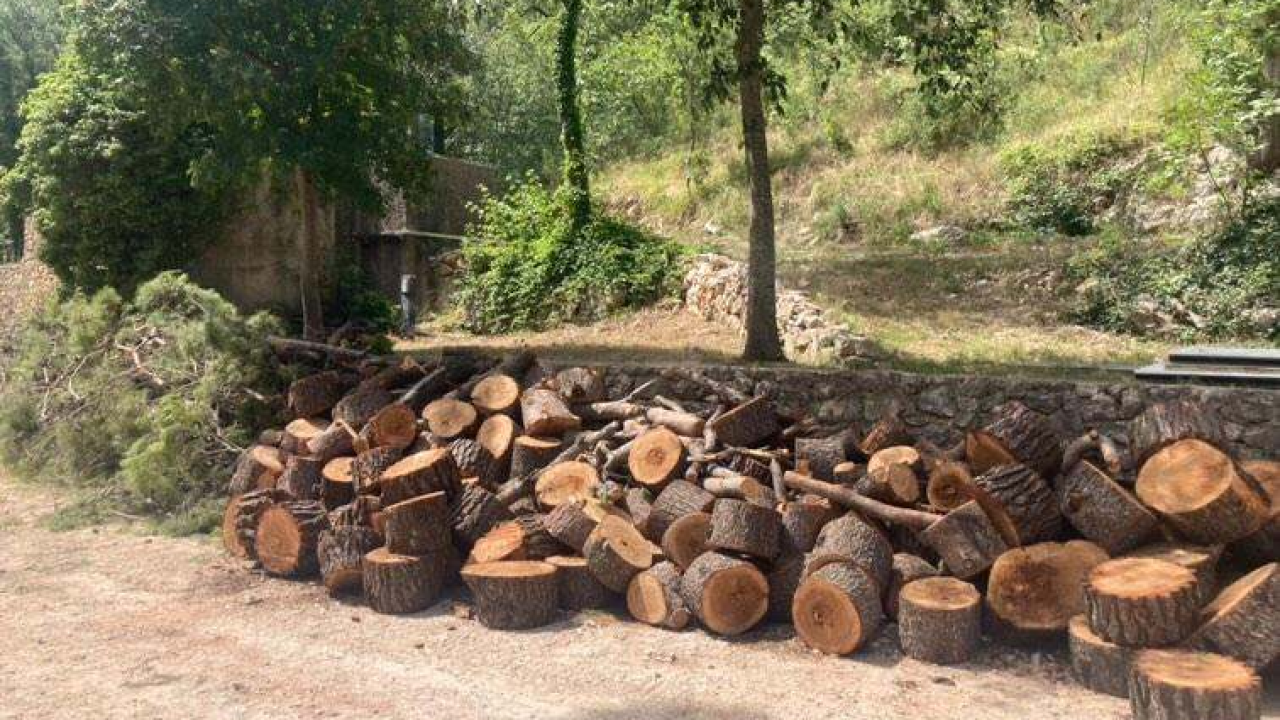 Uznemireni čitatelji snimili posječena stabla na Krki, iz NP-a poručuju: 'Bila su u vrlo lošem stanju'