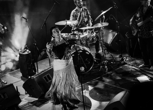 Fotografija 6 - Balkan ZOO i Nina Ćorić na Baroneu: Romske pjesme u world music izričaju i dašak flamenka