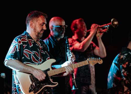 Fotografija 24 - Balkan ZOO i Nina Ćorić na Baroneu: Romske pjesme u world music izričaju i dašak flamenka