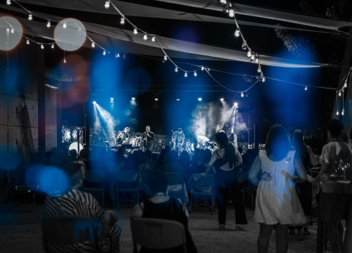 Fotografija 25 - Balkan ZOO i Nina Ćorić na Baroneu: Romske pjesme u world music izričaju i dašak flamenka