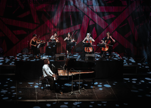 Fotografija 13 - Benjamin Clementine na sv. Mihovilu: Osebujan koncert o kojem će se još pričati