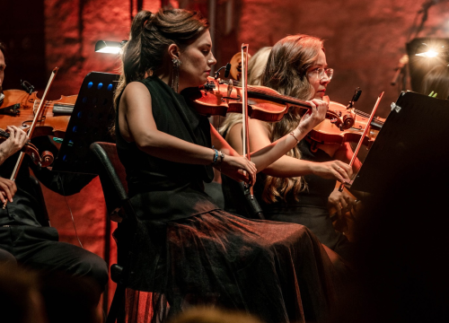 Fotografija 11 - Sinoć je završena 'Šarac era' Šansone, počela je 'Miše era': Promjene i modernizacija su nužne