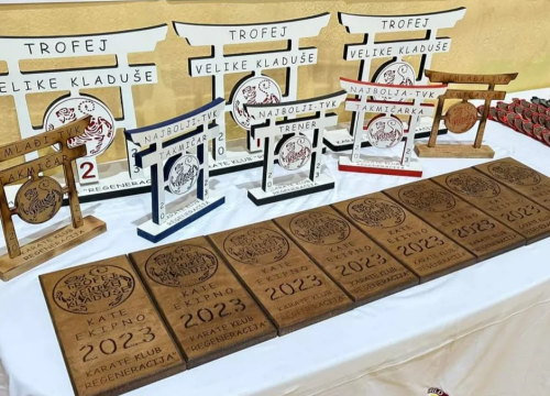 Fotografija 2 - 'Žetva' medalja za Karate klub Šibenik 1066: Osvojili ih čak 29 u Velikoj Kladuši