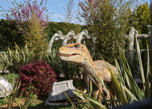 Fotografija 8 - Uhvati trenutak u Dalmalandu i osvoji nagradu!