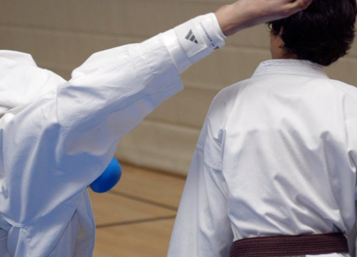 Na 'Kupu sv. Nikole' članovi Karate kluba 'Osvit' osvojili hrpu medalja