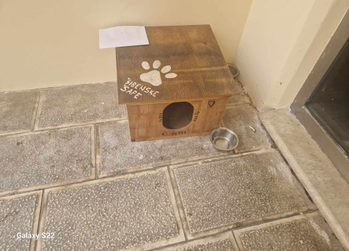 Fotografija 2 - Šibenčani gradskim mačkama grade kućice: 'Mile rado spava u svojoj'