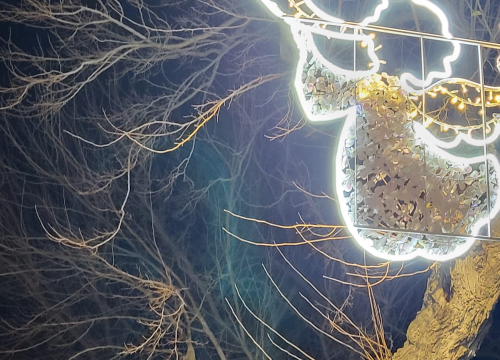 Fotografija 4 - Ne propustite ovogodišnji Advent pod murvom u Skradinu!