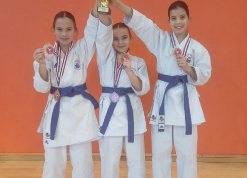 Fotografija 2 - Najuspješnija godina u povijesti Karate kluba Osvit: 'U idućoj godini imamo visoke ciljeve'