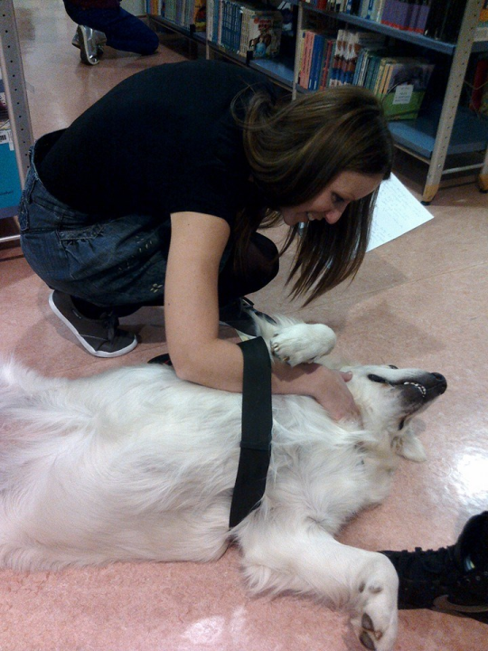 Knjižničarka Marina Šimić jedna je od onih zbog kojih je šibenska Knjižnica djeci ugodno mjesto za učenje i igru