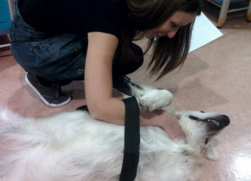 Fotografija 14 - Knjižničarka Marina Šimić jedna je od onih zbog kojih je šibenska Knjižnica djeci ugodno mjesto za učenje i igru