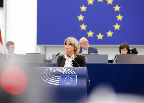 Sunčana Glavak u EU parlamentu: Hrvatska može biti primjer u zakonodavnoj zaštiti žena od nasilja