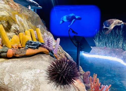 Fotografija 3 - Turistički djelatnici i predstavnici agencija obišli Posjetiteljski centar 'Kanal sv. Ante'