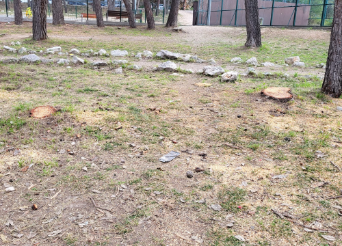 Fotografija 6 - 'Masakr' u parku Rasadnik na Vidicima: Sječe li Zeleni grad stabla mimo studije koju je naručio Grad?