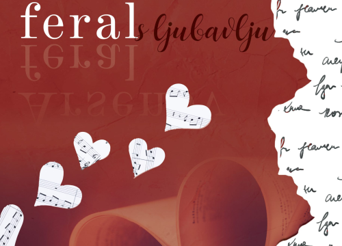 Fotografija 3 - Za Valentinovo u kazalištu 'Arsenov feral s ljubavlju'