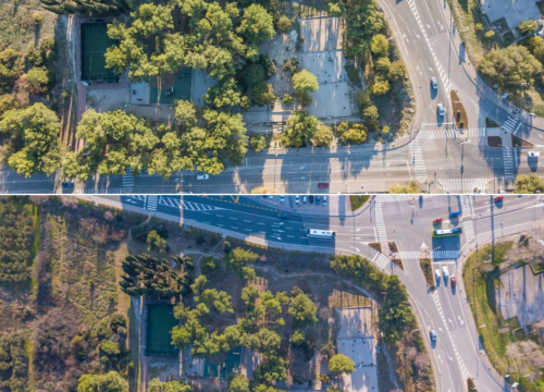 Fotografija 2 - 'Masakr' u parku Rasadnik na Vidicima: Sječe li Zeleni grad stabla mimo studije koju je naručio Grad?