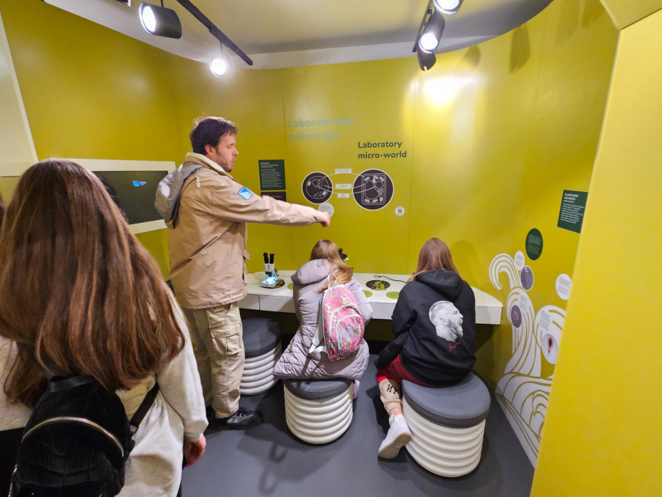 U Poliklinici Gemini bez čekanja obavite ultrazvuk abdomena te preglede interniste, gastroenterologa i kardiologa!