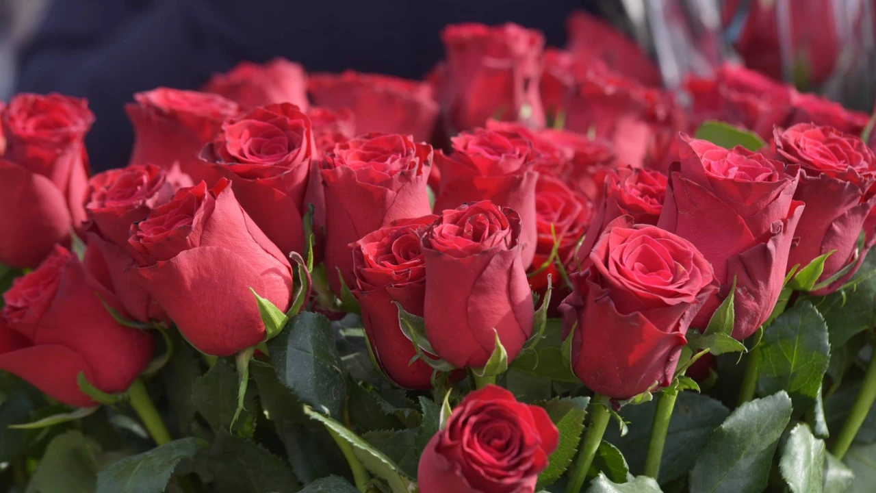 Korizma počinje na Valentinovo, što to znači za vjernike?