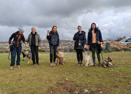 Fotografija 4 - Marko Aleksić, interventni policajac i trener pasa: 'Odgoj psa treba shvatiti ozbiljno, a veću ljubav u životu nećete dobiti'