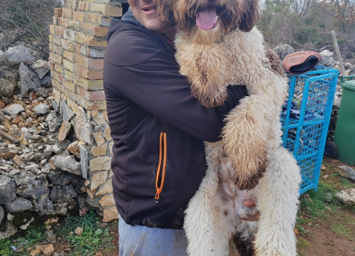 Fotografija 7 - Marko Aleksić, interventni policajac i trener pasa: 'Odgoj psa treba shvatiti ozbiljno, a veću ljubav u životu nećete dobiti'