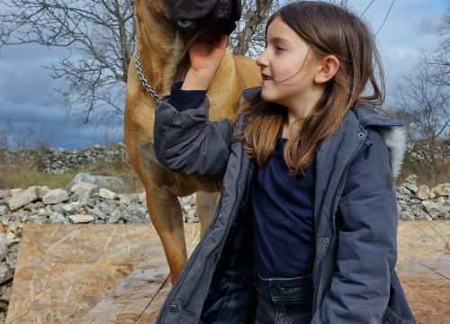 Fotografija 8 - Marko Aleksić, interventni policajac i trener pasa: 'Odgoj psa treba shvatiti ozbiljno, a veću ljubav u životu nećete dobiti'