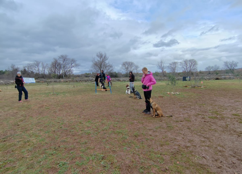 Fotografija 10 - Marko Aleksić, interventni policajac i trener pasa: 'Odgoj psa treba shvatiti ozbiljno, a veću ljubav u životu nećete dobiti'