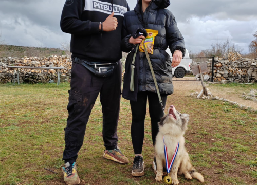 Fotografija 12 - Marko Aleksić, interventni policajac i trener pasa: 'Odgoj psa treba shvatiti ozbiljno, a veću ljubav u životu nećete dobiti'