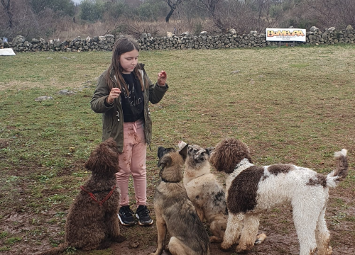 Fotografija 13 - Marko Aleksić, interventni policajac i trener pasa: 'Odgoj psa treba shvatiti ozbiljno, a veću ljubav u životu nećete dobiti'