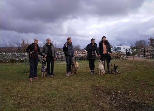 Fotografija 15 - Marko Aleksić, interventni policajac i trener pasa: 'Odgoj psa treba shvatiti ozbiljno, a veću ljubav u životu nećete dobiti'