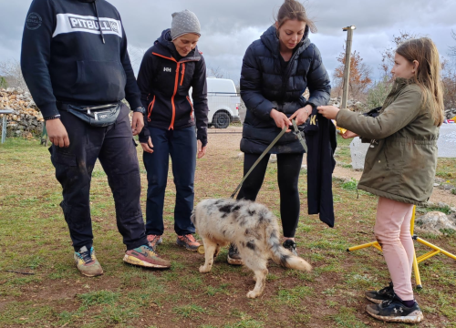 Fotografija 19 - Marko Aleksić, interventni policajac i trener pasa: 'Odgoj psa treba shvatiti ozbiljno, a veću ljubav u životu nećete dobiti'