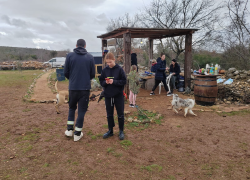 Fotografija 20 - Marko Aleksić, interventni policajac i trener pasa: 'Odgoj psa treba shvatiti ozbiljno, a veću ljubav u životu nećete dobiti'