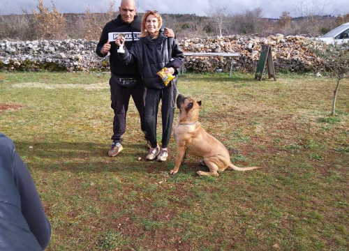 Fotografija 21 - Marko Aleksić, interventni policajac i trener pasa: 'Odgoj psa treba shvatiti ozbiljno, a veću ljubav u životu nećete dobiti'