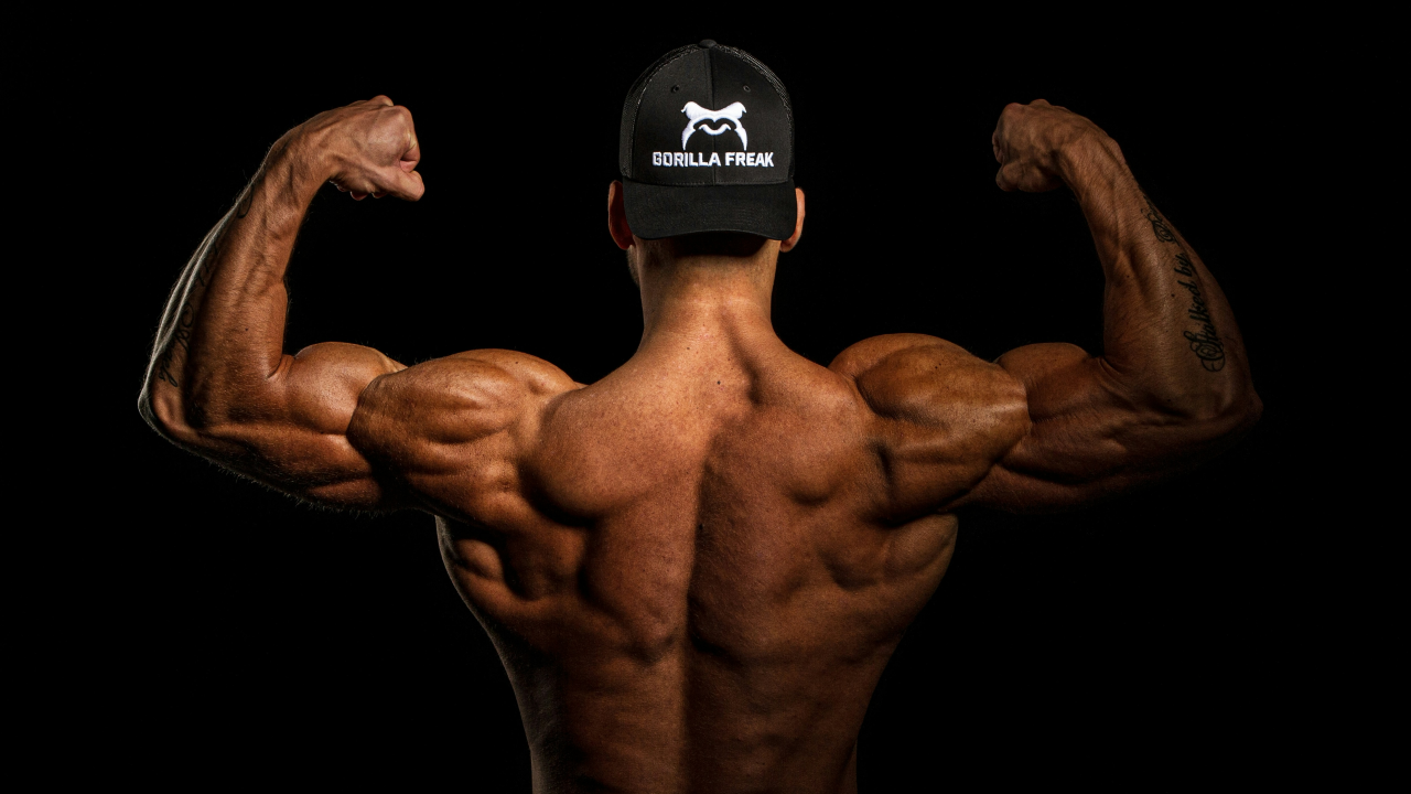 Bodybuilderi i rekreativci, oprez: Previše proteina oštećuje arterije