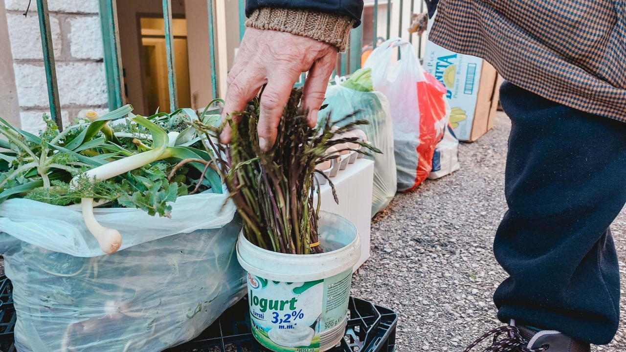 Stiže sezona šparoga: Ako nemate dozvolu za branje, ovo su kazne