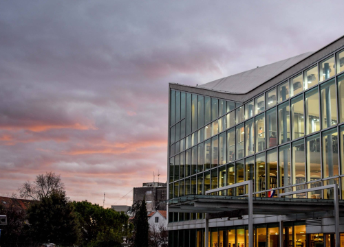 Četvrtak rezervirajte za razmjenu sjemena i reznica u šibenskoj knjižnici