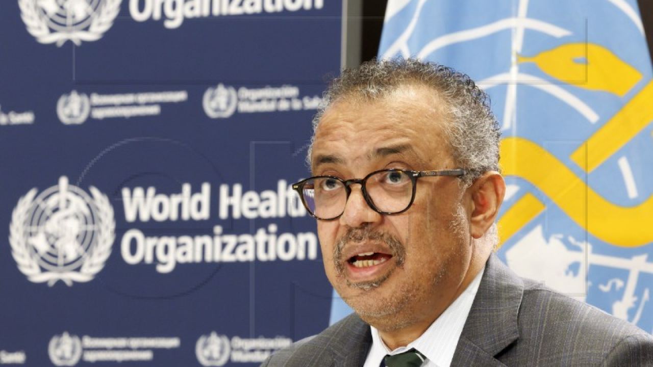 WHO: Djeca u sjevernoj Gazi umiru od gladi