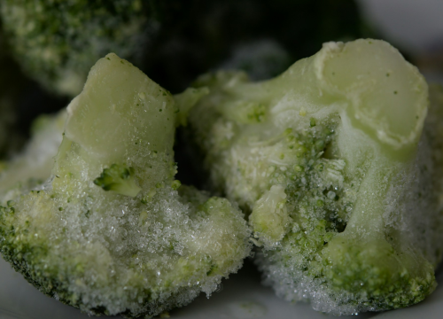 Najveća greška koju radimo kada stavljamo hranu u zamrzivač