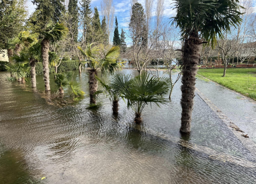 Fotografija 3 - Visok vodostaj Krke poplavio dio Visovca