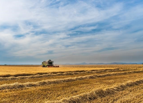 U tijeku podnošenje zahtjeva za potporu u sektorima voćarstva i ratarstva