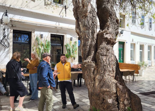 Fotografija 6 - Doktor za drveća pregledao murvu: Koliko je staro legendarno šibensko stablo?