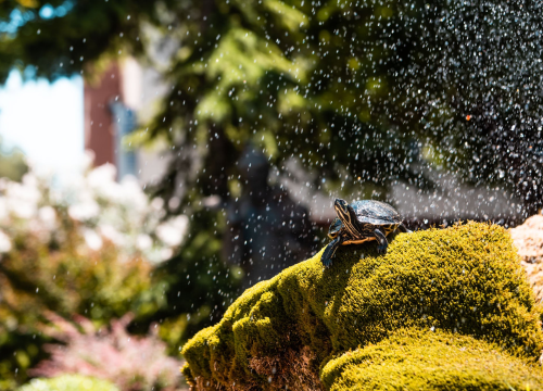 Zemlja ruši globalne toplinske rekorde deseti mjesec zaredom