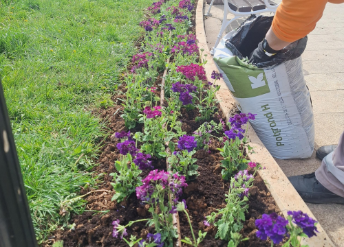 Fotografija 5 - Zeleni grad uređuje Perivoj Luje Maruna