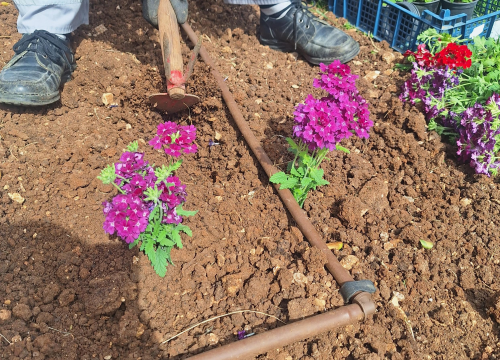 Fotografija 2 - Zeleni grad uređuje Perivoj Luje Maruna